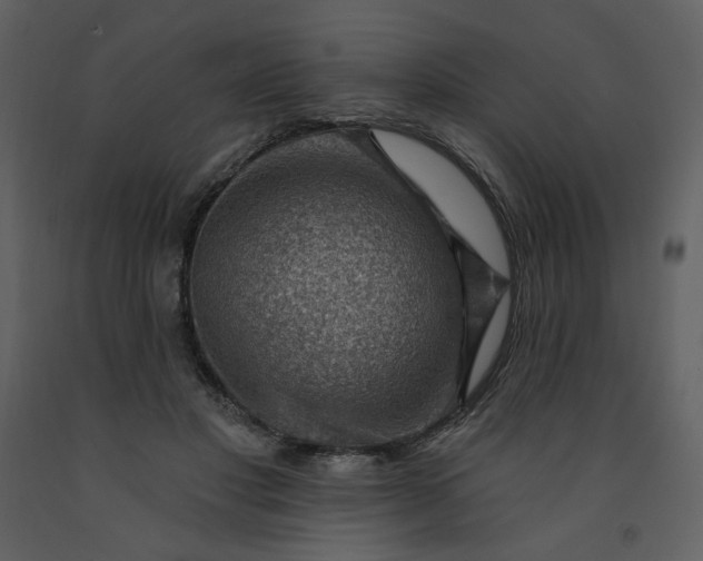 X0000093260501200710171452