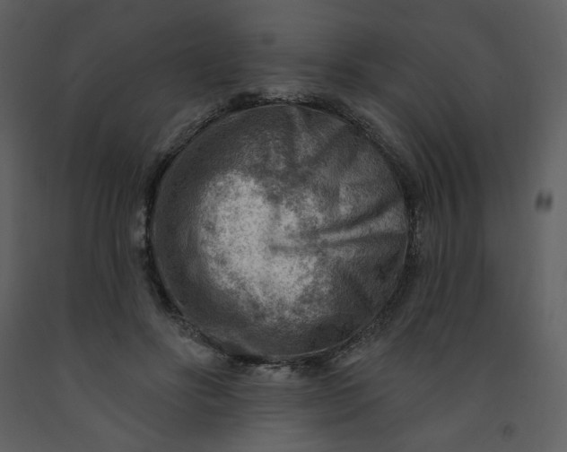 X0000093260502200710171452