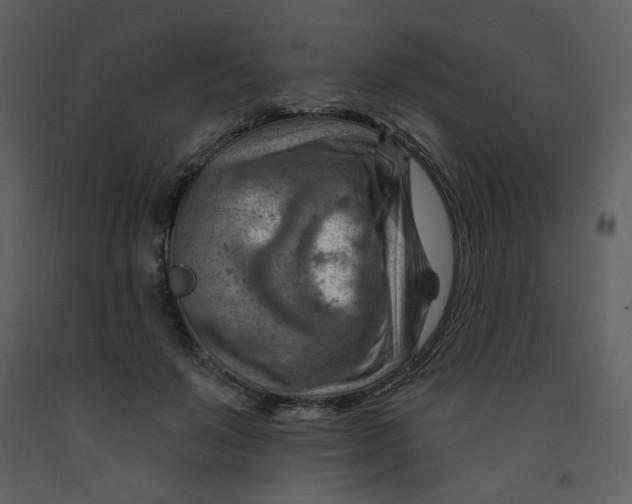 X0000093260503200710171452