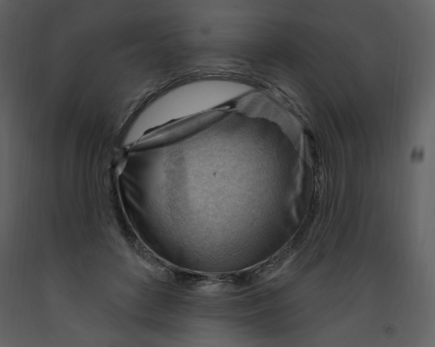 X0000093260504200710171452