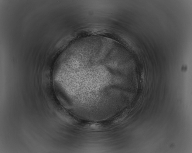 X0000093260506200710171452