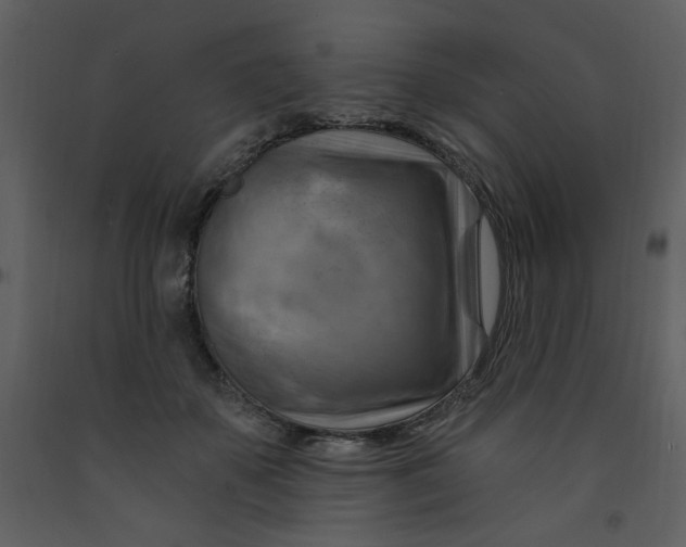 X0000093260507200710171452