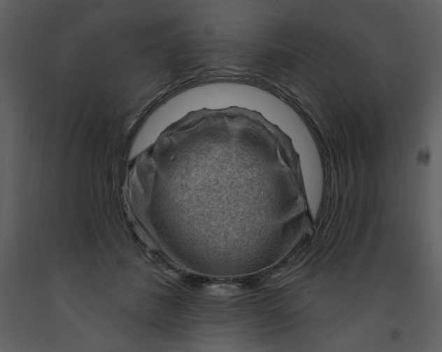 X0000093260508200710171452