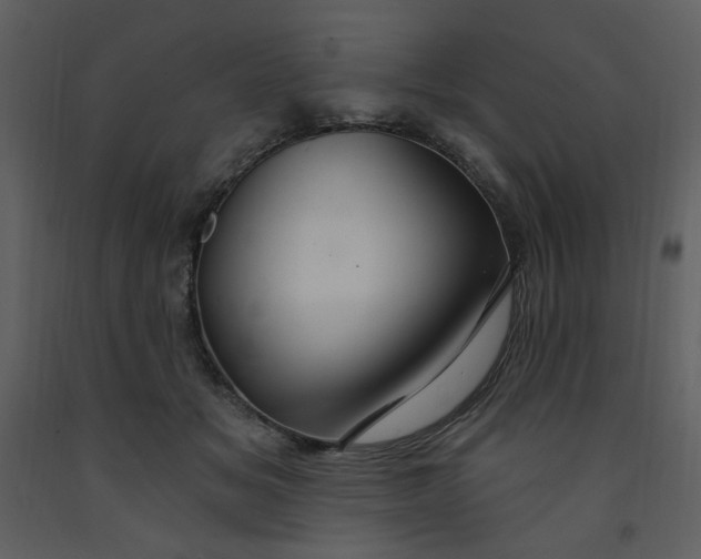 X0000093260509200710171452