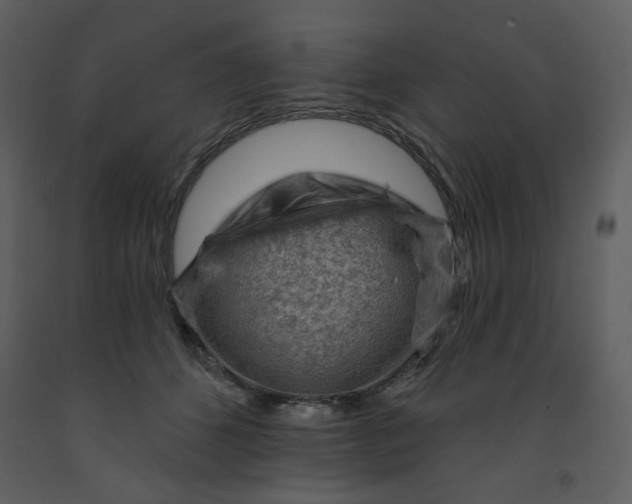 X0000093260512200710171452