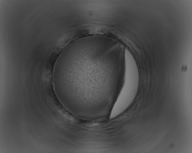 X0000093260513200710171452