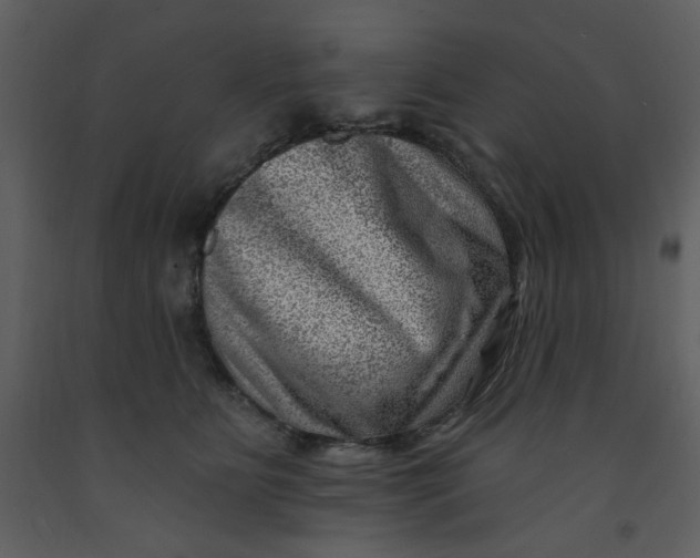 X0000093260515200710171452