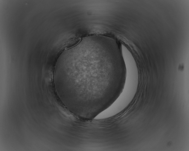 X0000093260517200710171452