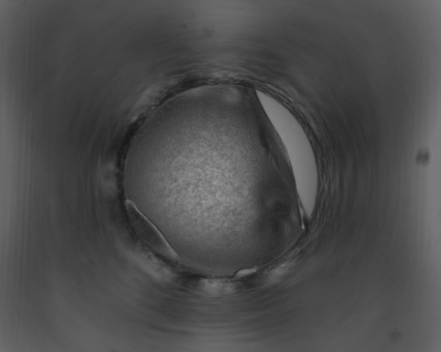 X0000093260520200710171452