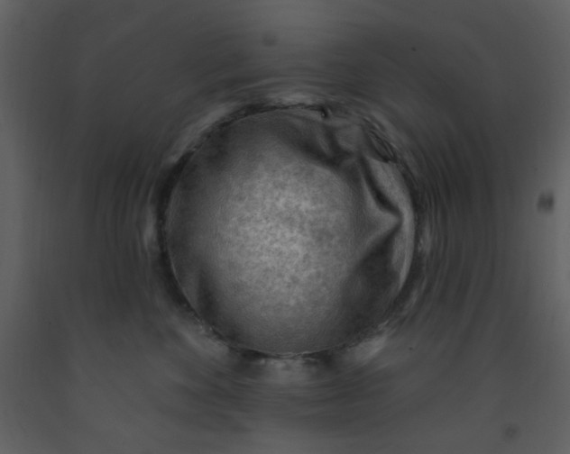 X0000093260524200710171452