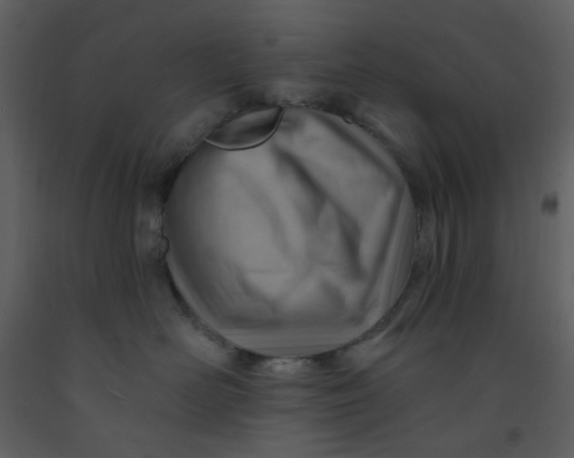 X0000093260526200710171452