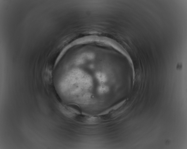 X0000093260527200710171452