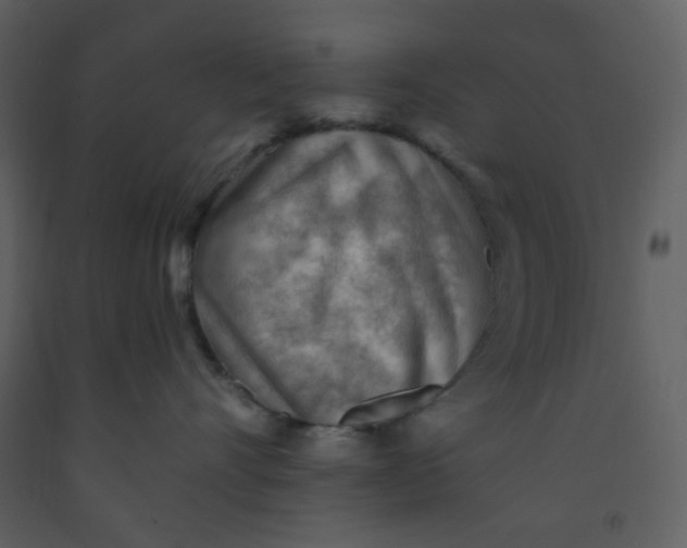 X0000093260528200710171452