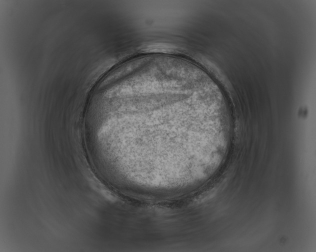 X0000093260529200710171451