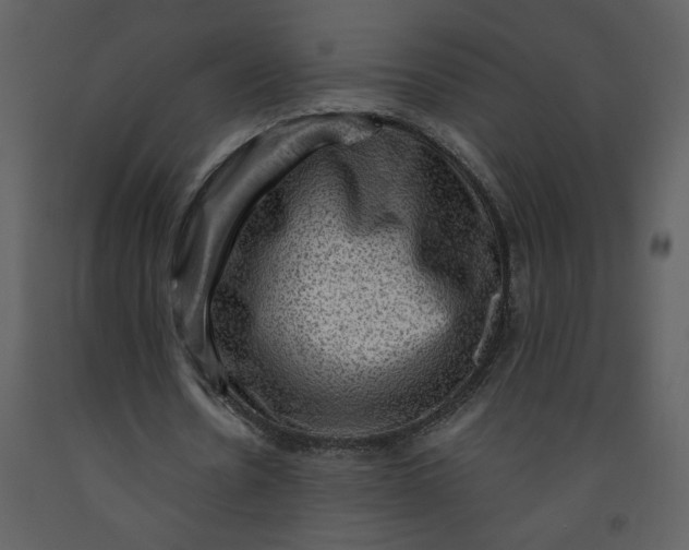 X0000093260530200710171451