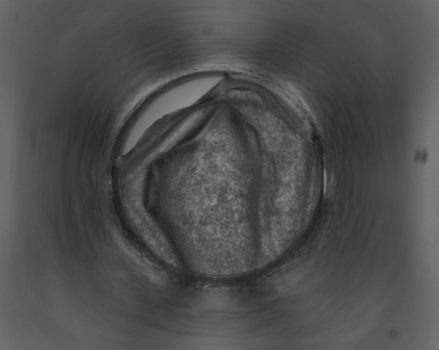 X0000093260531200710171451