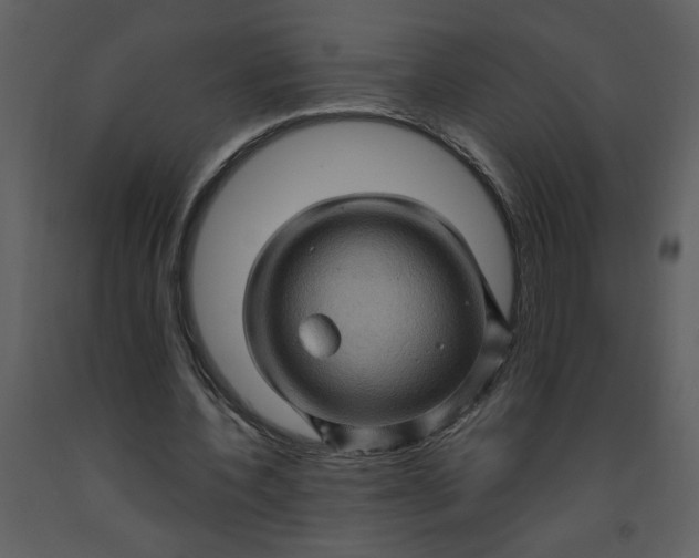 X0000093260532200710171451