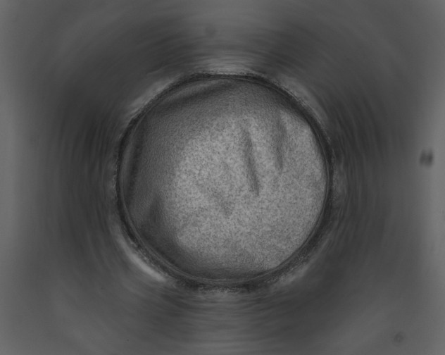 X0000093260533200710171451