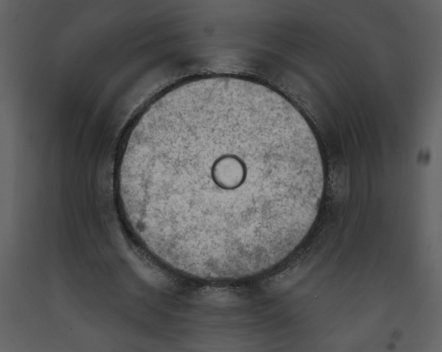 X0000093260534200710171451