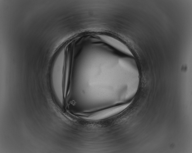 X0000093260535200710171451