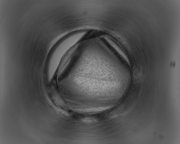 X0000093260536200710171451