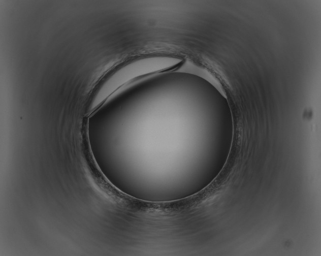 X0000093260538200710171451