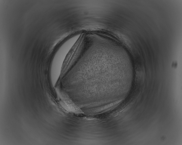 X0000093260539200710171451