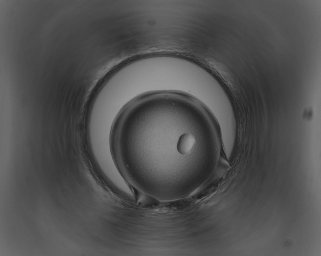 X0000093260540200710171451