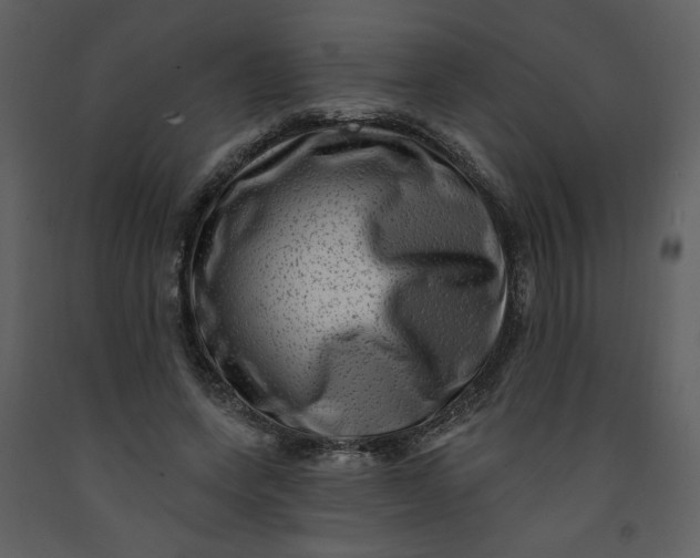 X0000093260543200710171451