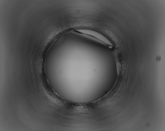 X0000093260544200710171451