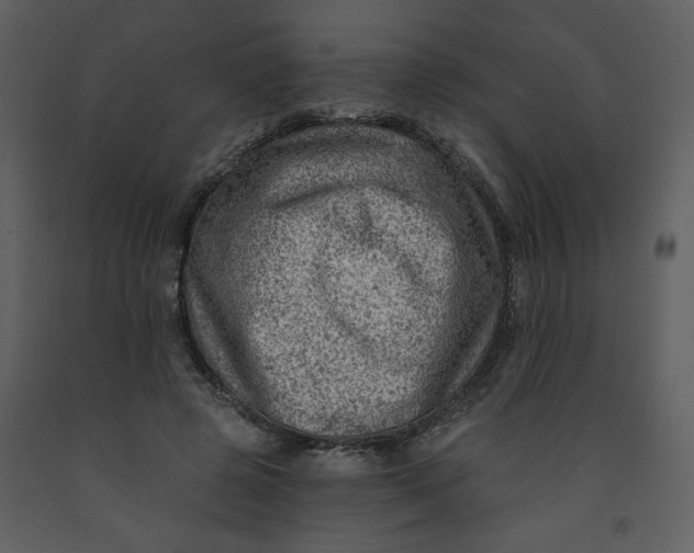 X0000093260545200710171451