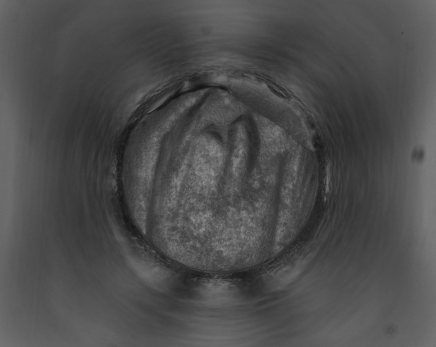 X0000093260547200710171451