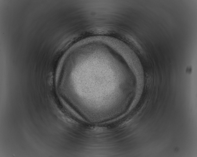 X0000093260549200710171451