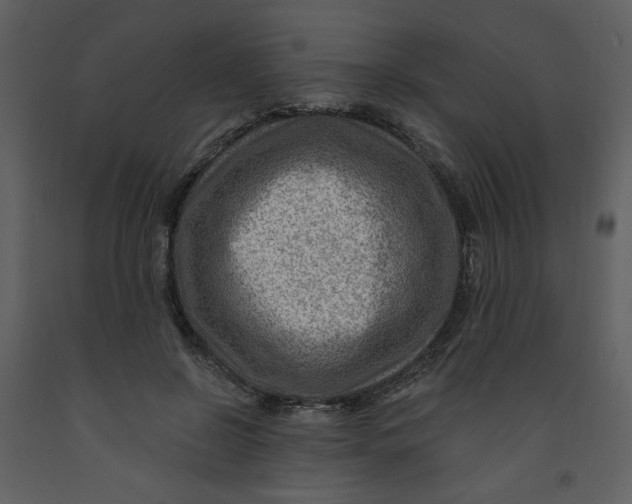 X0000093260550200710171451