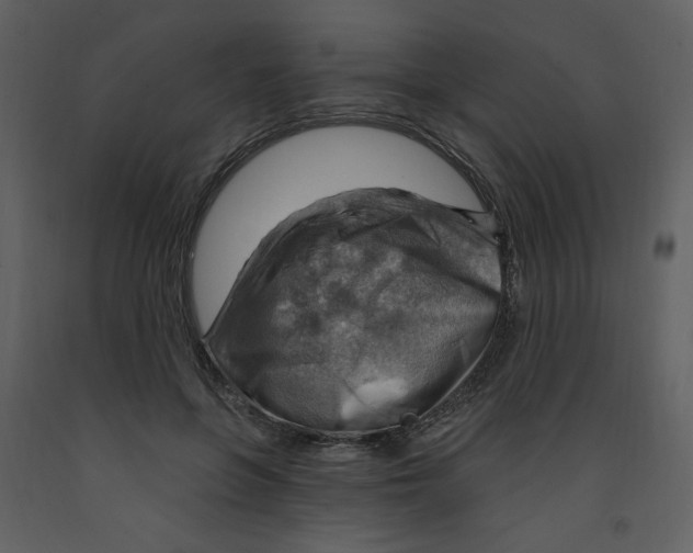 X0000093260551200710171451