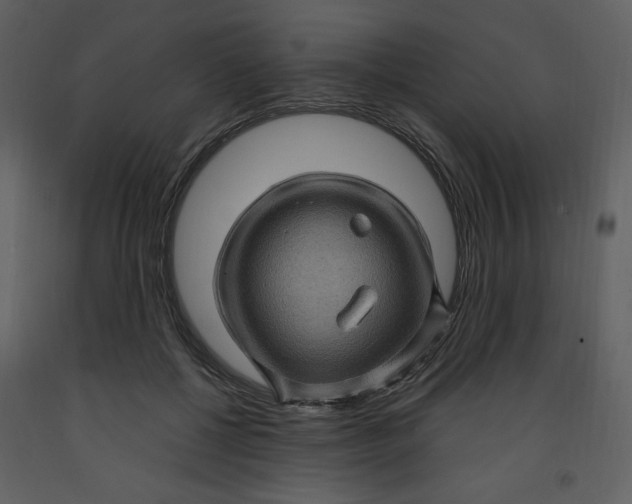 X0000093260552200710171451