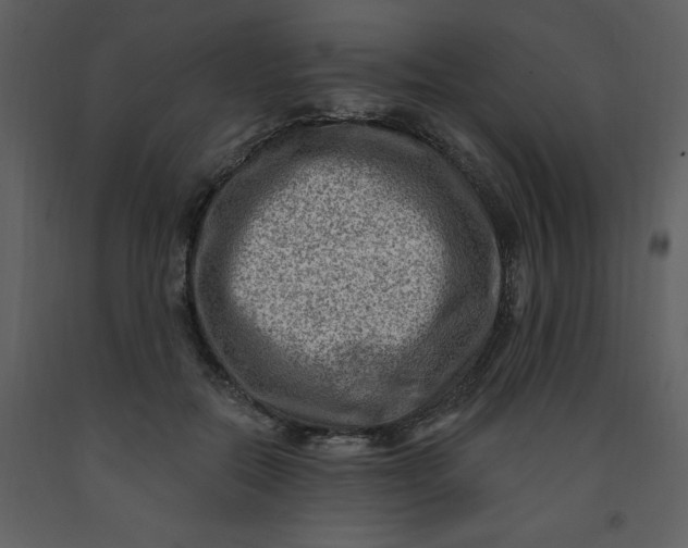 X0000093260554200710171451