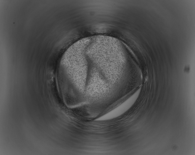 X0000093260555200710171451