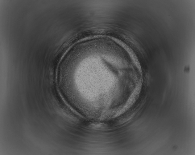 X0000093260557200710171451