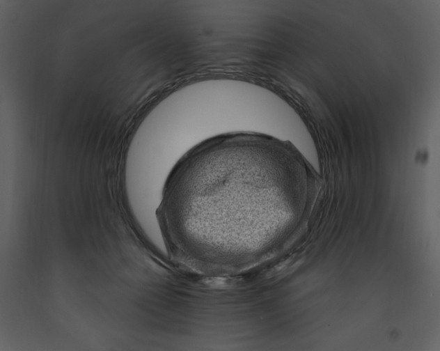 X0000093260558200710171451