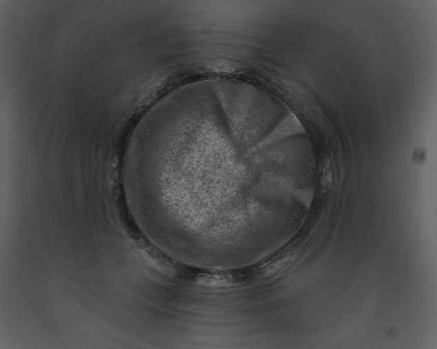 X0000093260559200710171451