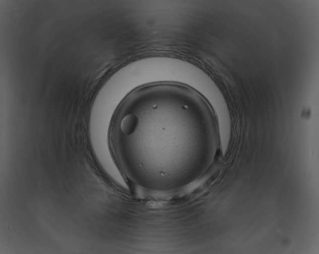 X0000093260560200710171452