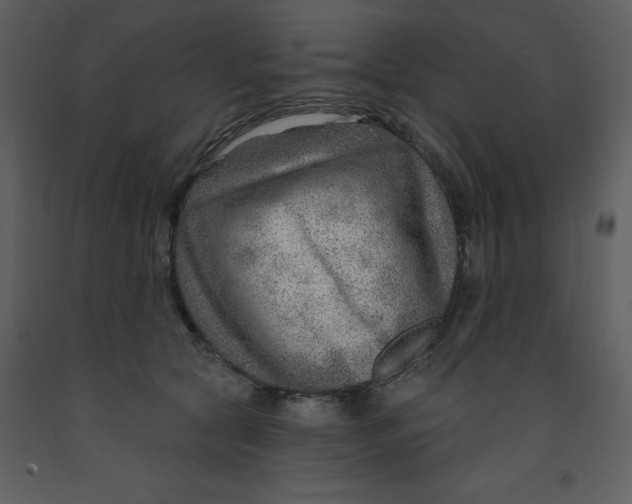 X0000093260561200710171452