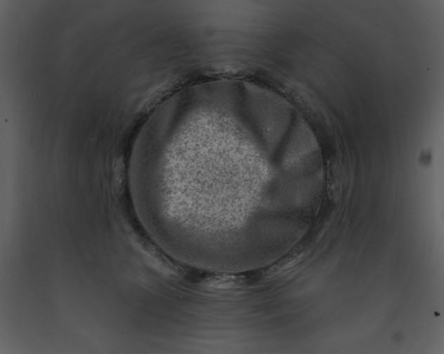 X0000093260563200710171452