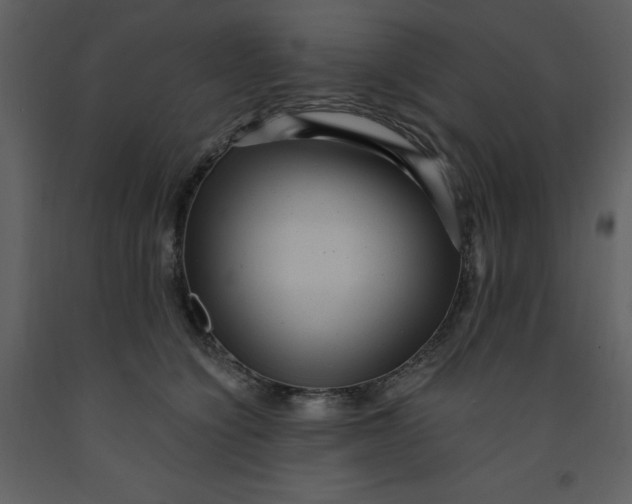 X0000093260564200710171452