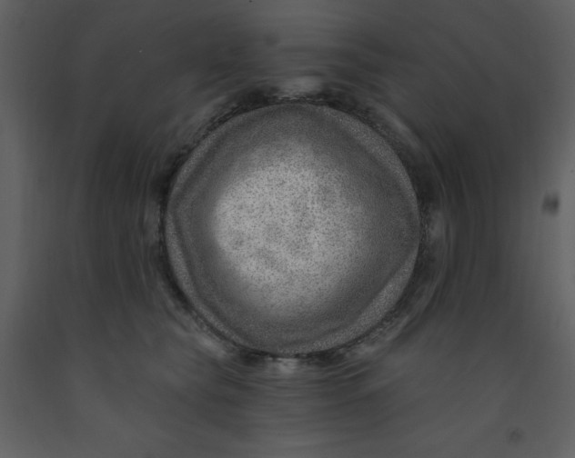 X0000093260565200710171452