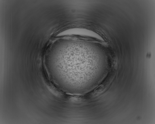 X0000093260568200710171452