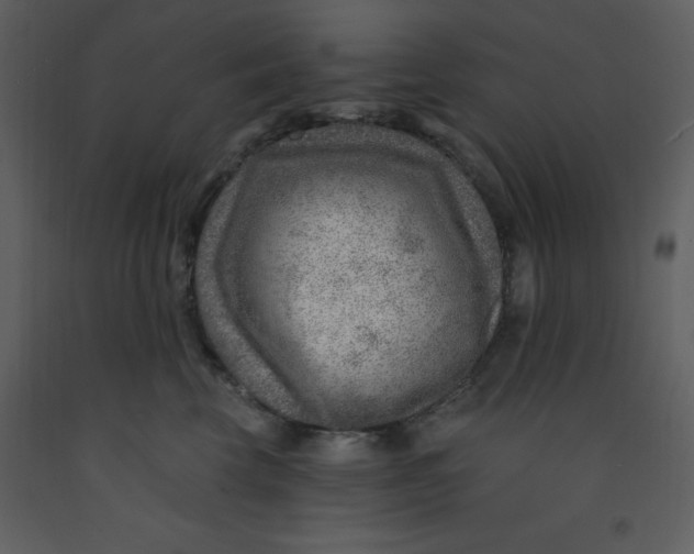 X0000093260569200710171452