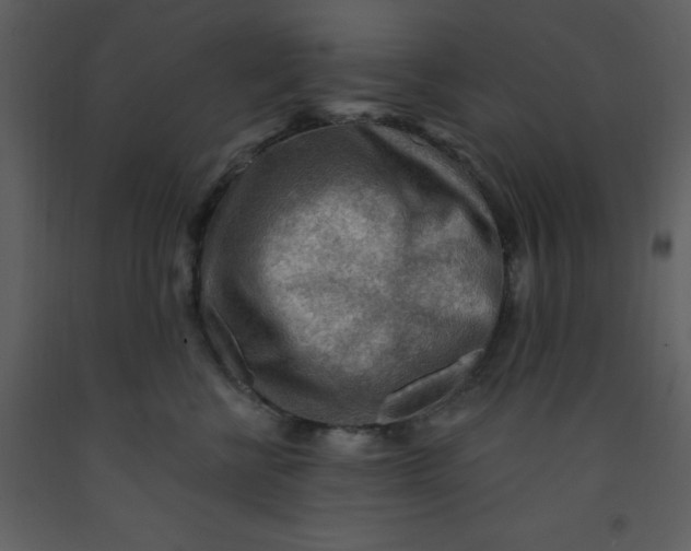 X0000093260570200710171452