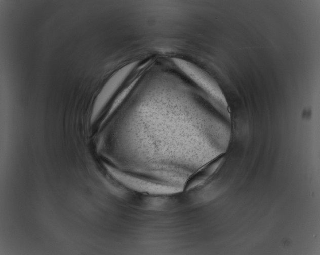 X0000093260575200710171452